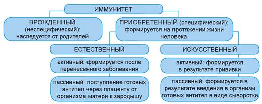 Природа врожденные и приобретенные качества