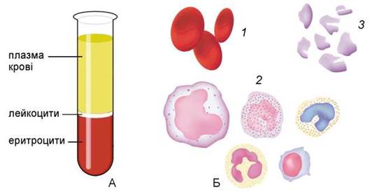 Кровь на б клетки. Плазма и форменные элементы крови. Кровь плазма и форменные элементы крови. Плазма и форменные элементы крови рисунок. Состав крови плазма крови форменные элементы.