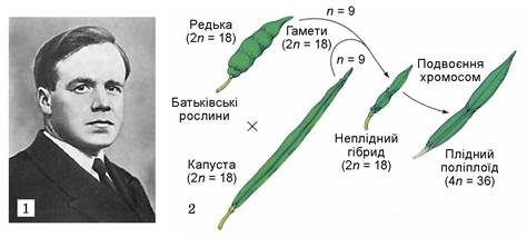 Метод г д карпеченко