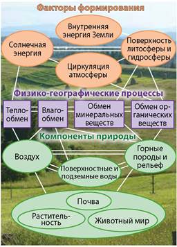 Факторы ландшафта